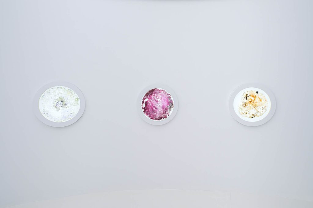 Art piece by Luo Daishi commissioned by Lancôme for the exhibition "The Art of Absolute"