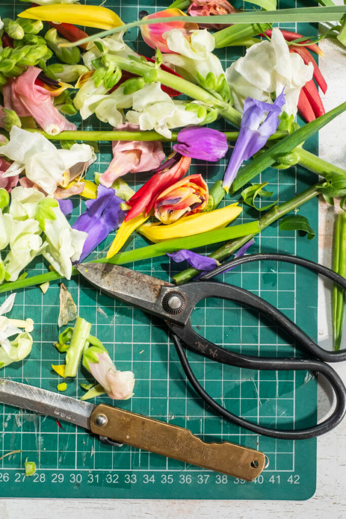 Somersby x Joe Horner - Artistic collaboration - Behind the scene