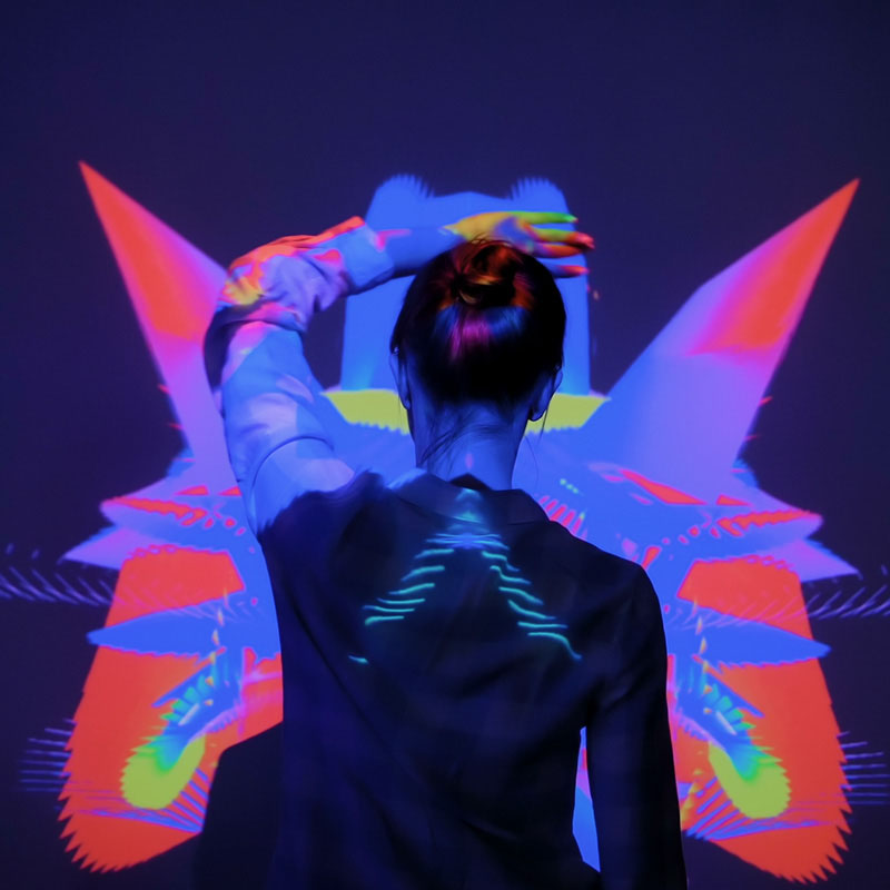 Immersive experience