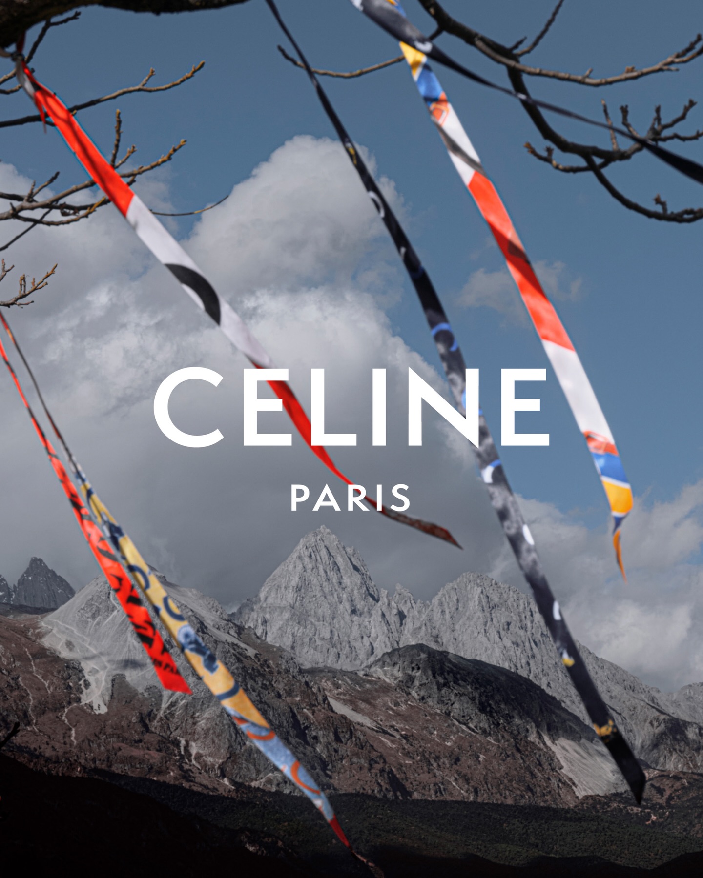 Celine fashion lunar new year campaign